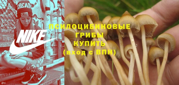 круглые Аркадак