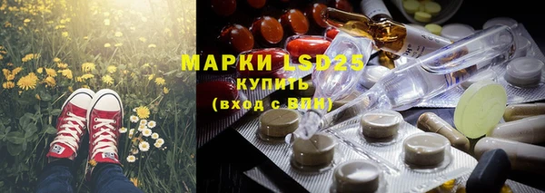прущая мука Арсеньев