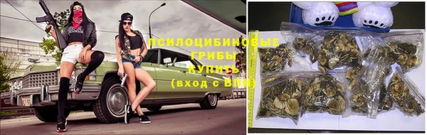 ПСИЛОЦИБИНОВЫЕ ГРИБЫ Осташков