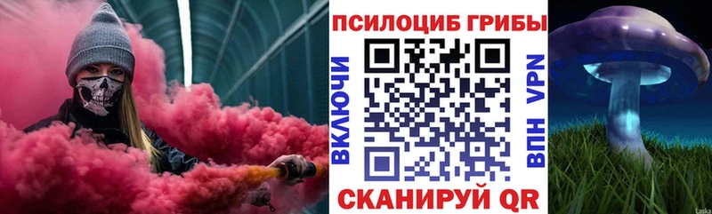 Псилоцибиновые грибы Psilocybine cubensis  Серафимович 